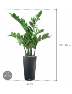 Sammenplantning med krukke... 2