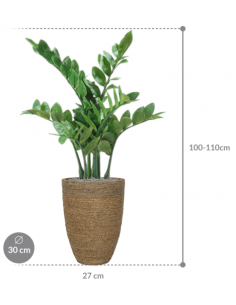 Sammenplantning med krukke... 2