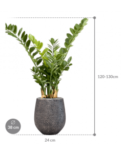 Sammenplantning med krukke... 2