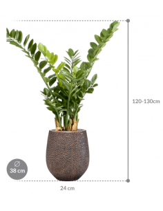 Sammenplantning med krukke... 2