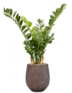 Sammenplantning med krukke...