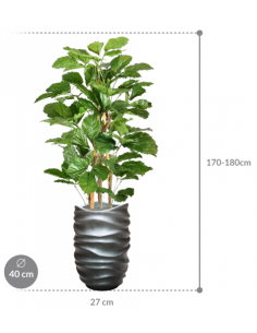 Sammenplantning med krukke... 2