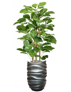 Sammenplantning med krukke...