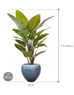 Sammenplantning med krukke... 2