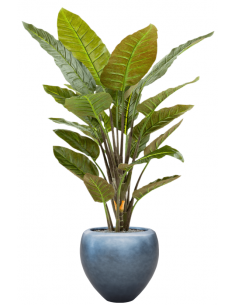 Sammenplantning med krukke...