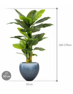 Sammenplantning med krukke... 2