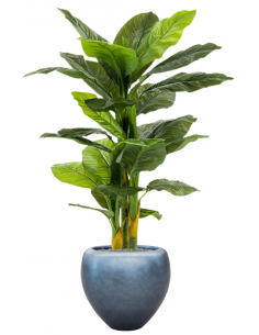 Sammenplantning med krukke...