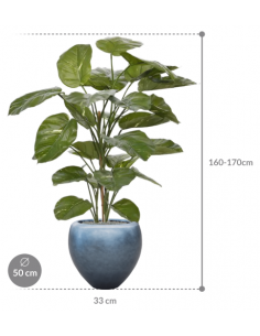 Sammenplantning med krukke... 2