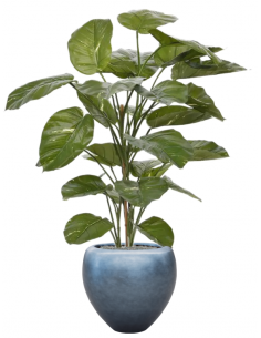 Sammenplantning med krukke...