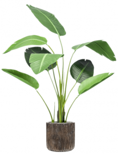 Sammenplantning med krukke...