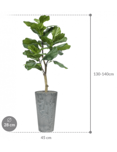 Sammenplantning med krukke... 2