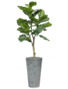 Sammenplantning med krukke og kunstig Ficus Lyrata plante H137 cm