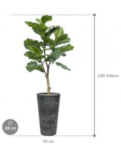 Sammenplantning med krukke... 2