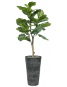 Sammenplantning med krukke og kunstig Ficus Lyrata plante H137 cm