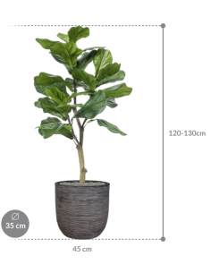 Sammenplantning med krukke... 2