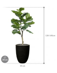 Sammenplantning med krukke... 2