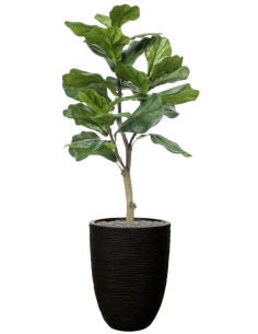 Sammenplantning med krukke...