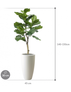 Sammenplantning med krukke... 2