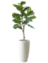 Sammenplantning med krukke og kunstig Ficus Lyrata plante H140 cm