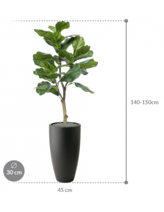 Sammenplantning med krukke... 2