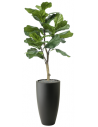 Sammenplantning med krukke og kunstig Ficus Lyrata plante H140 cm