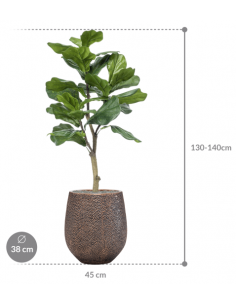 Sammenplantning med krukke... 2