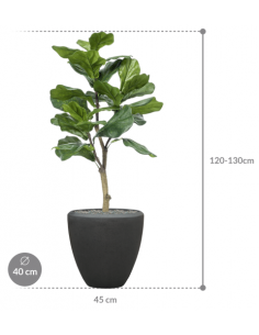 Sammenplantning med krukke... 2