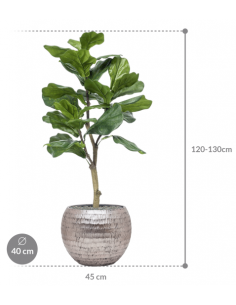 Sammenplantning med krukke... 2