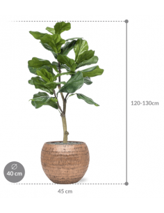 Sammenplantning med krukke... 2