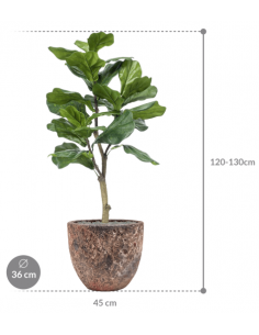 Sammenplantning med krukke... 2