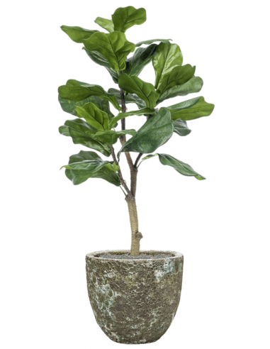 Sammenplantning med krukke og kunstig Ficus Lyrata plante H122 cm