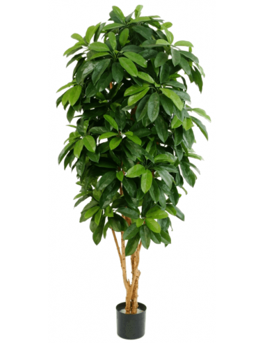 Kunstigt Schefflera træ H142 cm