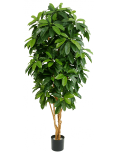 Kunstigt Schefflera træ...