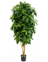 Kunstigt Schefflera træ H172 cm