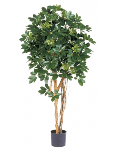 Kunstigt Schefflera træ H140 cm