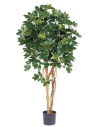 Kunstigt Schefflera træ H140 cm