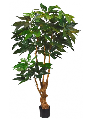 Kunstigt Schefflera Actoniphylla træ...