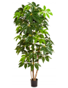 Kunstigt Schefflera Amate træ H220 cm