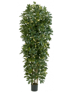 Kunstigt Schefflera træ...