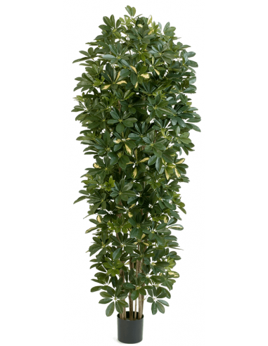 Kunstigt Schefflera træ H200 cm