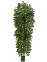 Kunstigt Schefflera træ H200 cm