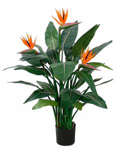 Kunstig Strelitzia Nicolai...