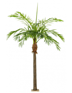 Kunstigt Phoenix palmetræ...