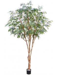 Kunstigt Murraya træ H325 cm