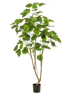 Kunstigt Ficus Umbellata...