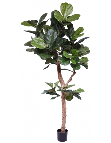 Kunstigt Ficus Lyrata træ H210 cm