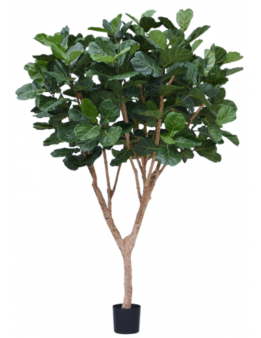 Kunstigt Ficus Lyrata træ H300 cm