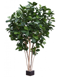 Kunstigt Ficus Lyrata træ...