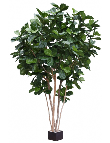 Kunstigt Ficus Lyrata træ H420 cm