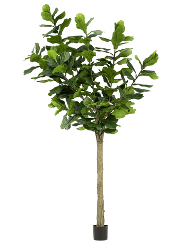 Kunstigt Ficus Lyrata træ H300 cm